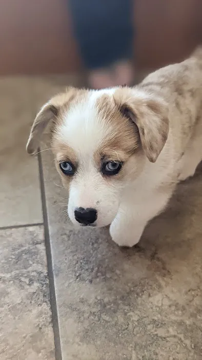 Marion Animal Hospital 4