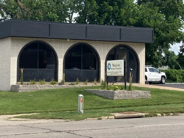 Marion Animal Hospital 10