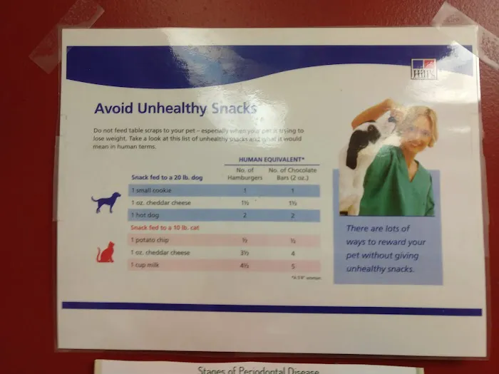 Linn Animal Hospital Marion 12