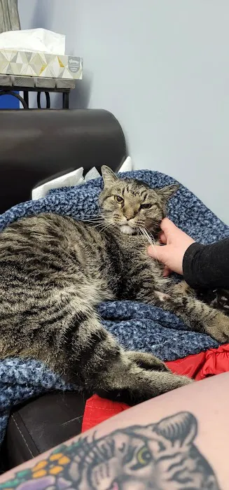 Linn Animal Hospital South 12