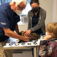 Veterinary Associates ico