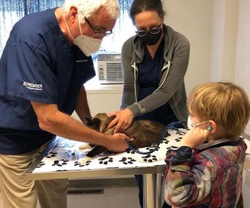 Veterinary Associates
