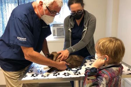 Veterinary Associates