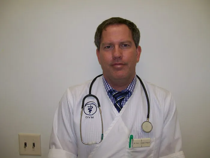 All Pets Veterinary Clinic 12