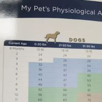 Louisa Veterinary Clinic PC ico