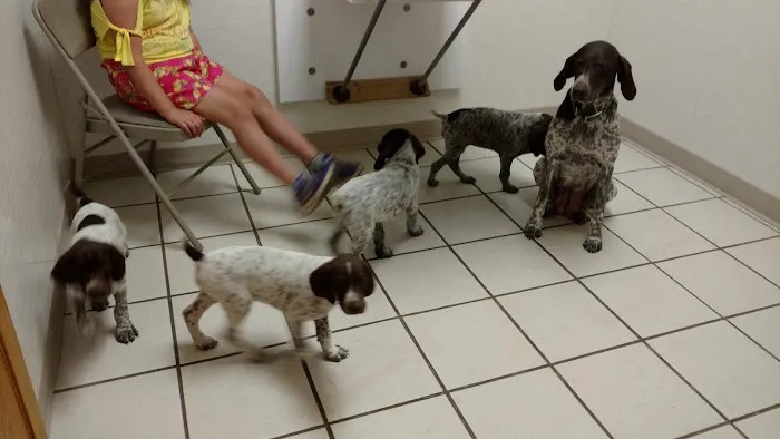 Tender Care Animal Hospital 12
