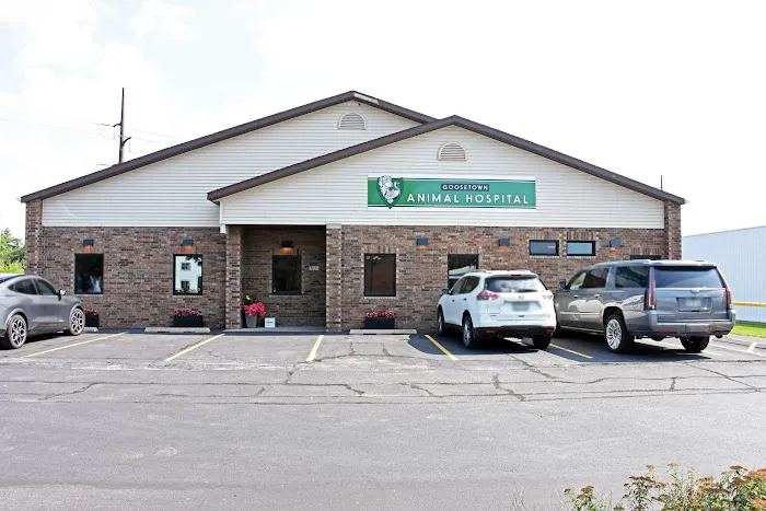 Goosetown Animal Hospital 12