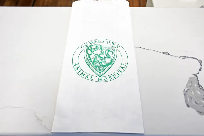 Goosetown Animal Hospital 12