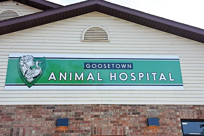 Goosetown Animal Hospital 12