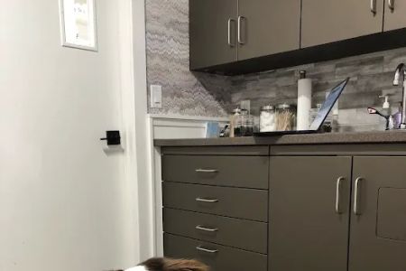 Goosetown Animal Hospital