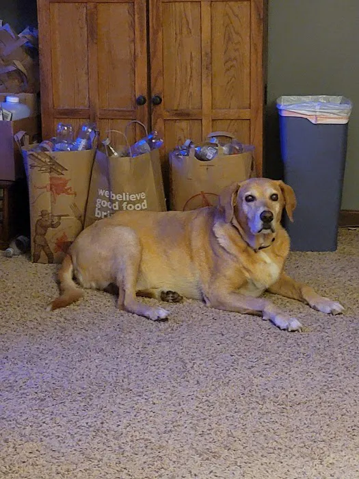 Coralville Animal Hospital 12