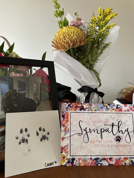 Coralville Animal Hospital 12