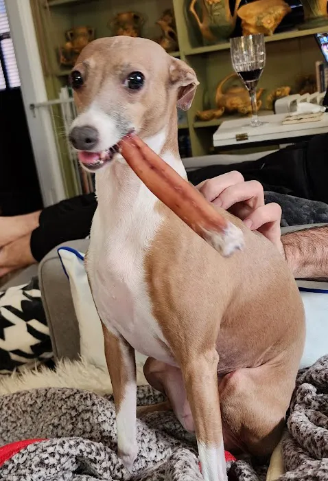 Cedar Rapids Animal Hospital 7