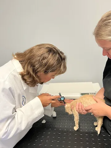 Heartland Animal Hospital Cedar Rapids 12