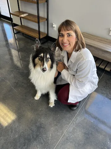 Heartland Animal Hospital Cedar Rapids 12