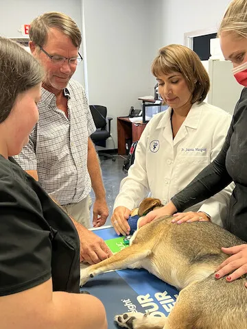 Heartland Animal Hospital Cedar Rapids 12