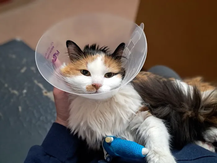 BluePearl Pet Hospital 12