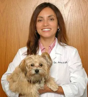Holistic Pet Vet 1