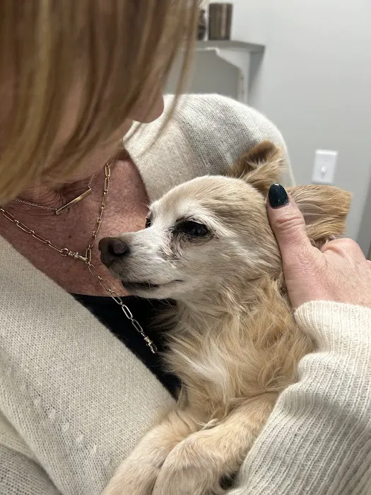 North Liberty Pet Clinic 2