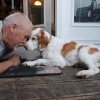 Middle River Veterinary Hospital ico