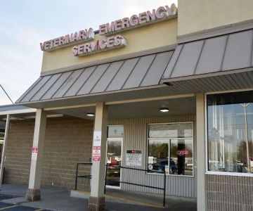 Veterinary Emergency Services