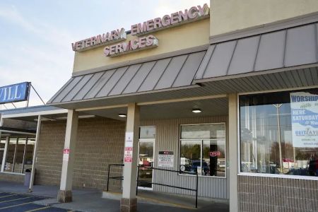 Veterinary Emergency Services