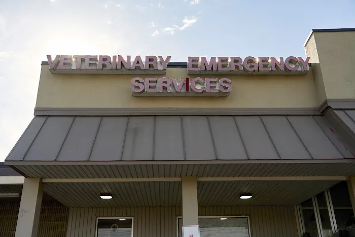 Veterinary Emergency Services 12