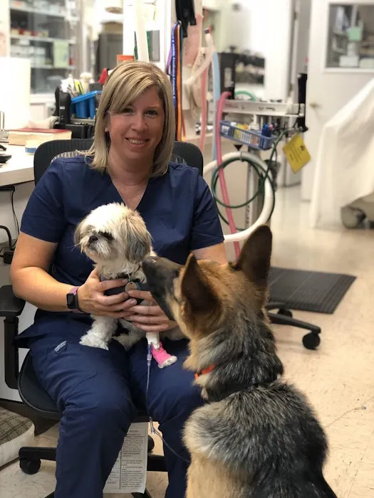Veterinary Emergency Services 12