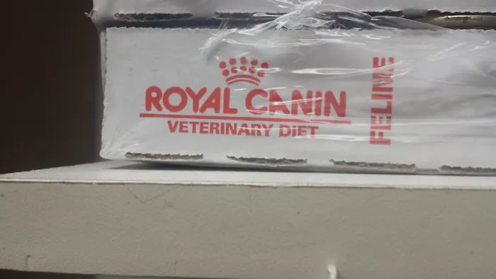 Animal Clinic of Verona 12