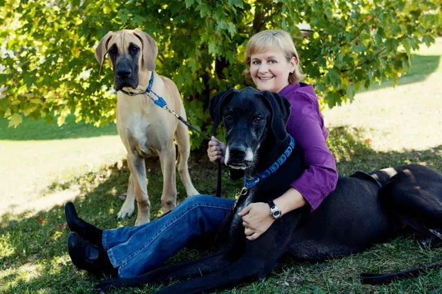 Animal Hospital of Waynesboro 12