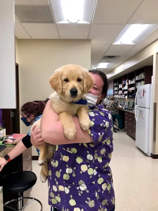 Animal Hospital of Waynesboro 12