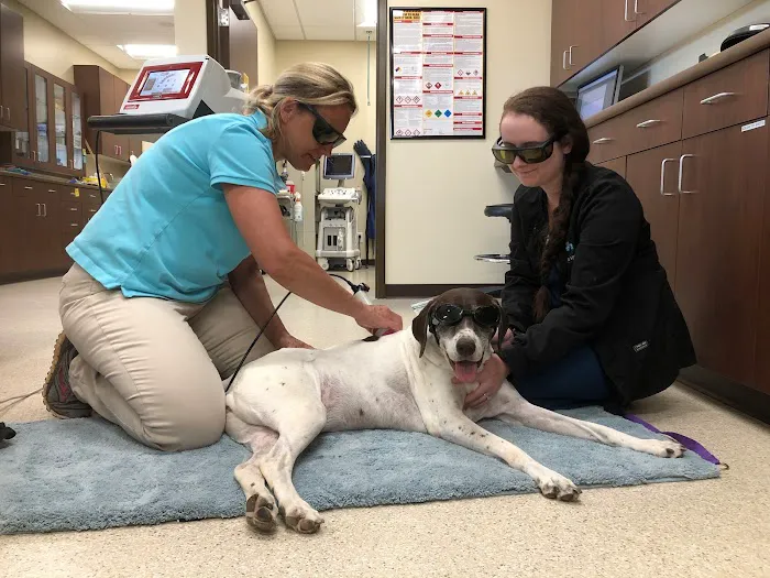 Animal Hospital of Waynesboro 12