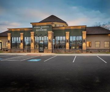 Animal Hospital of Waynesboro
