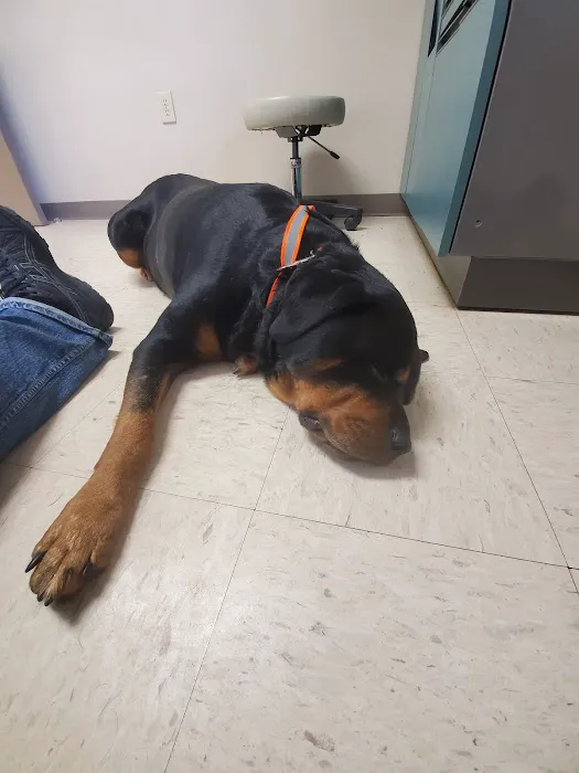 Animal Health Care Center 12