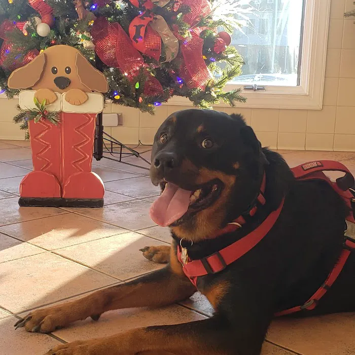 Commonwealth Veterinary Clinic 12