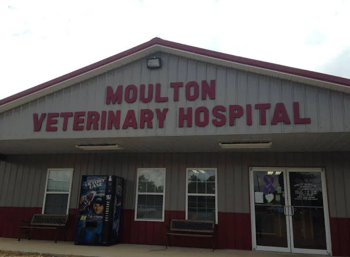 Moulton Veterinary Hospital 12