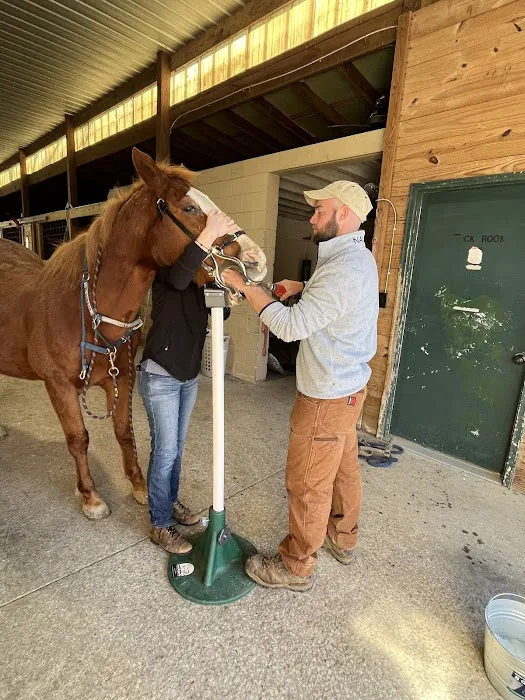 Indian Hills Equine Veterinary Services 12