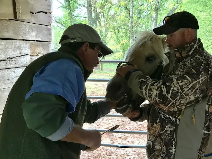 Flint Creek Veterinary Services 12