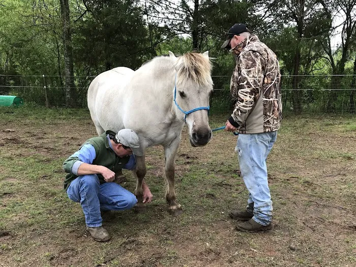 Flint Creek Veterinary Services 12