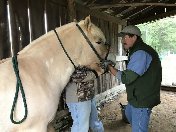 Flint Creek Veterinary Services 12