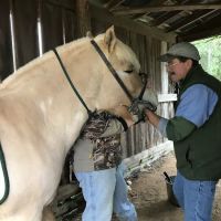 Flint Creek Veterinary Services ico