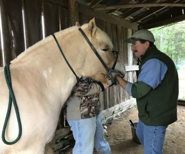 Flint Creek Veterinary Services