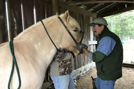 Flint Creek Veterinary Services