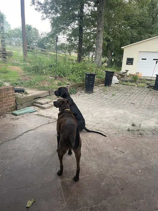 Decatur Animal Care PC 12