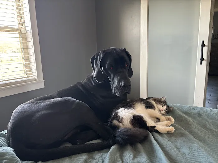 Decatur Animal Care PC 12