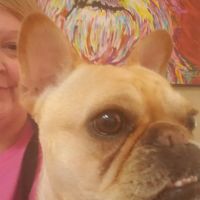 Dr. Kelly B. Griffith ico
