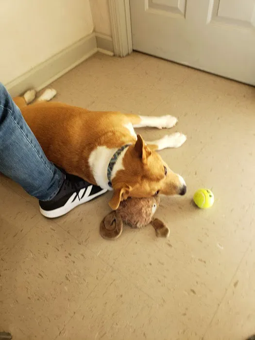 Beltline Animal Clinic 2
