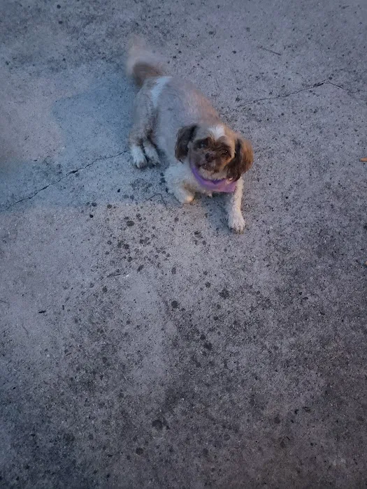 Beltline Animal Clinic 8