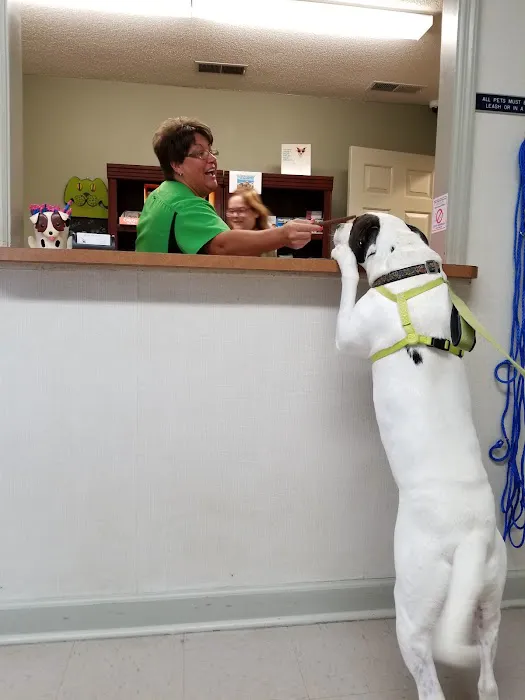 Beltline Animal Clinic 7