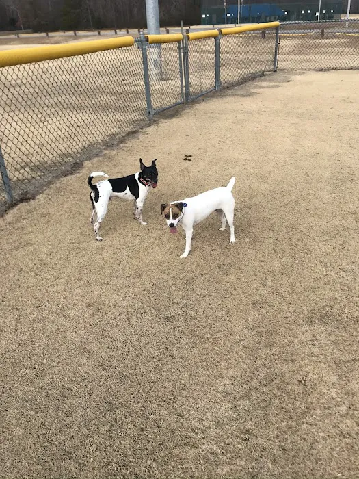 Osborne Animal Clinic 9